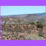 Petrified Dunes.jpg